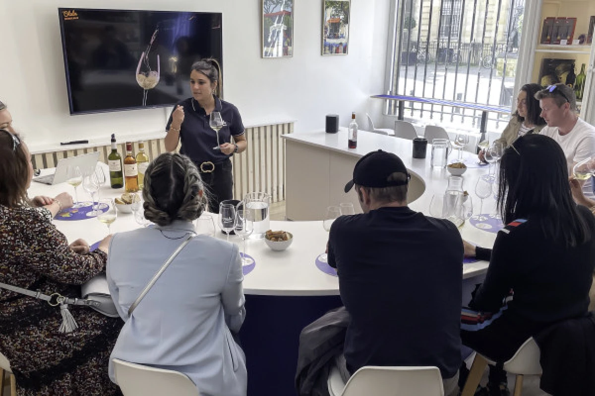 Masterclass - Dégustation Vins à Bordeaux - Bonjour Fun