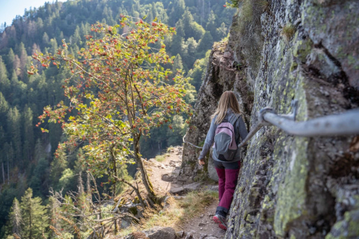 Micro aventure sentier des roches - Bonjour Fun