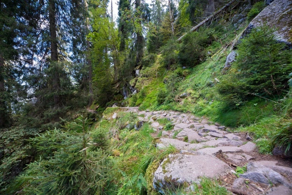 Micro aventure sentier des roches - Bonjour Fun