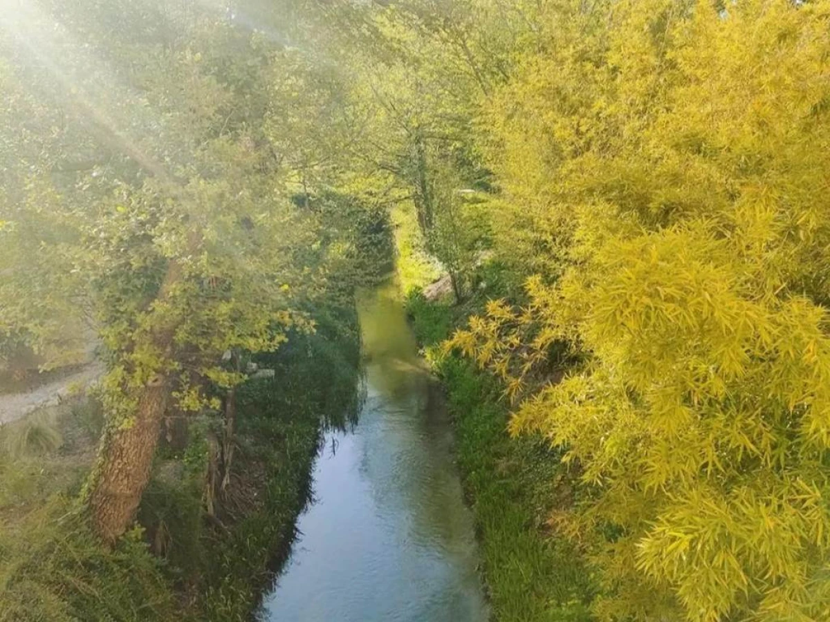 Moulin de la Roque - Bonjour Fun