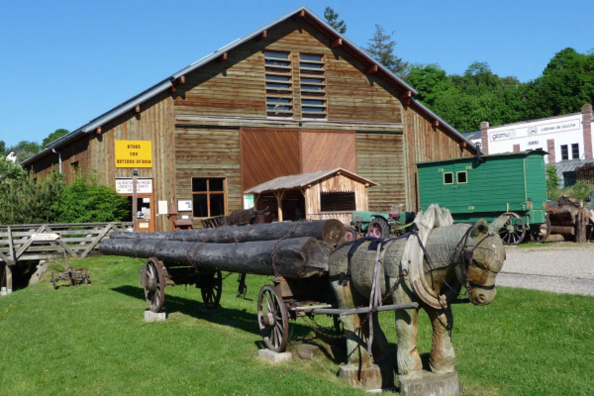 Musée des métiers du bois : Visite guidée - Bonjour Fun