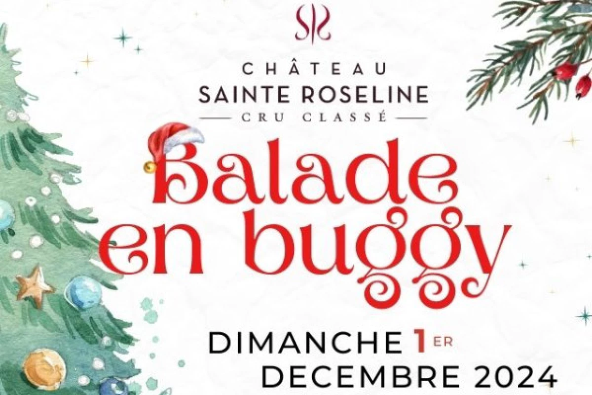 Noël au château : balade en buggy - Bonjour Fun