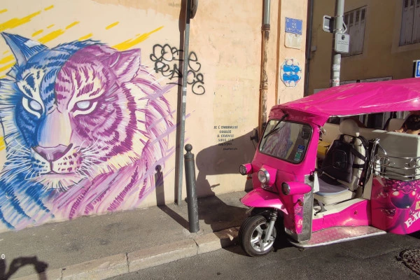 Balade en tuk tuk autour de Notre Dame et petit Panier - Bonjour Fun