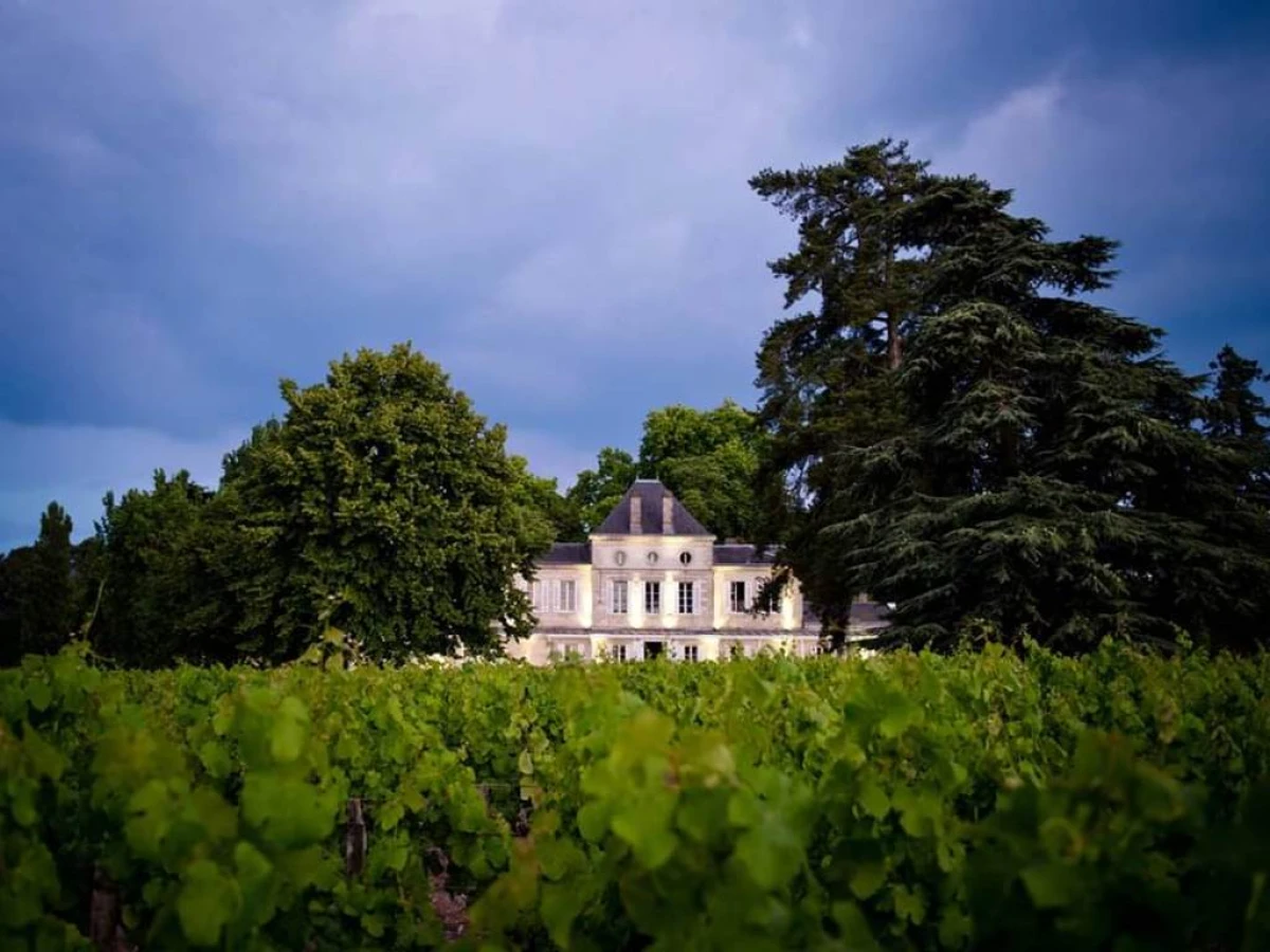 Nouveau au départ du château Haut Nouchet, offrez-vous une balade en trottinette  dans les vignobles, suivie d'une dégustation de 5 vins (2h00), avec options dégustation gourmande possible - Bonjour Fun