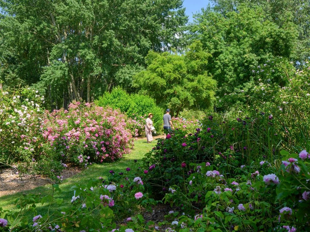 Offre Famille – Visite en famille à la Roseraie Les Chemins de la Rose - Bonjour Fun