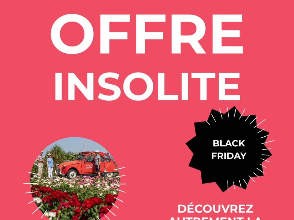 OFFRE INSOLITE - Black Friday - Bonjour Fun