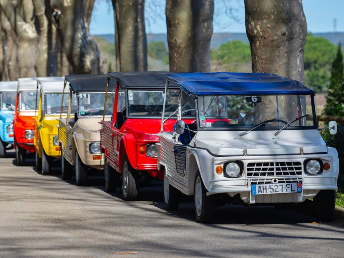 Pack cortège mariage - Bonjour Fun