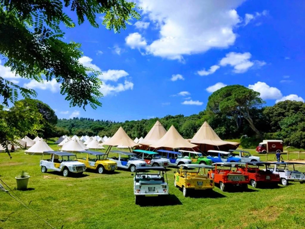 Pack cortège mariage - Bonjour Fun