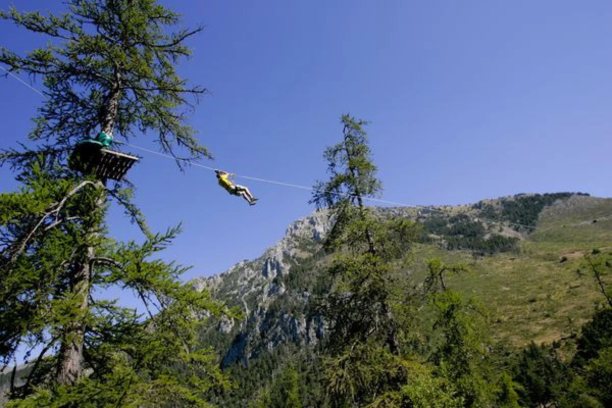 Parcours aventure Colmiane Forest - PROMO - Bonjour Fun