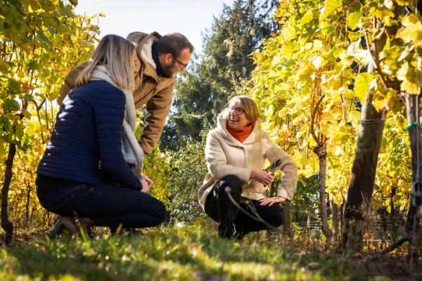 Parenthèse Vigneronne 'fromages et Grands Crus' - dégustation - Bonjour Fun