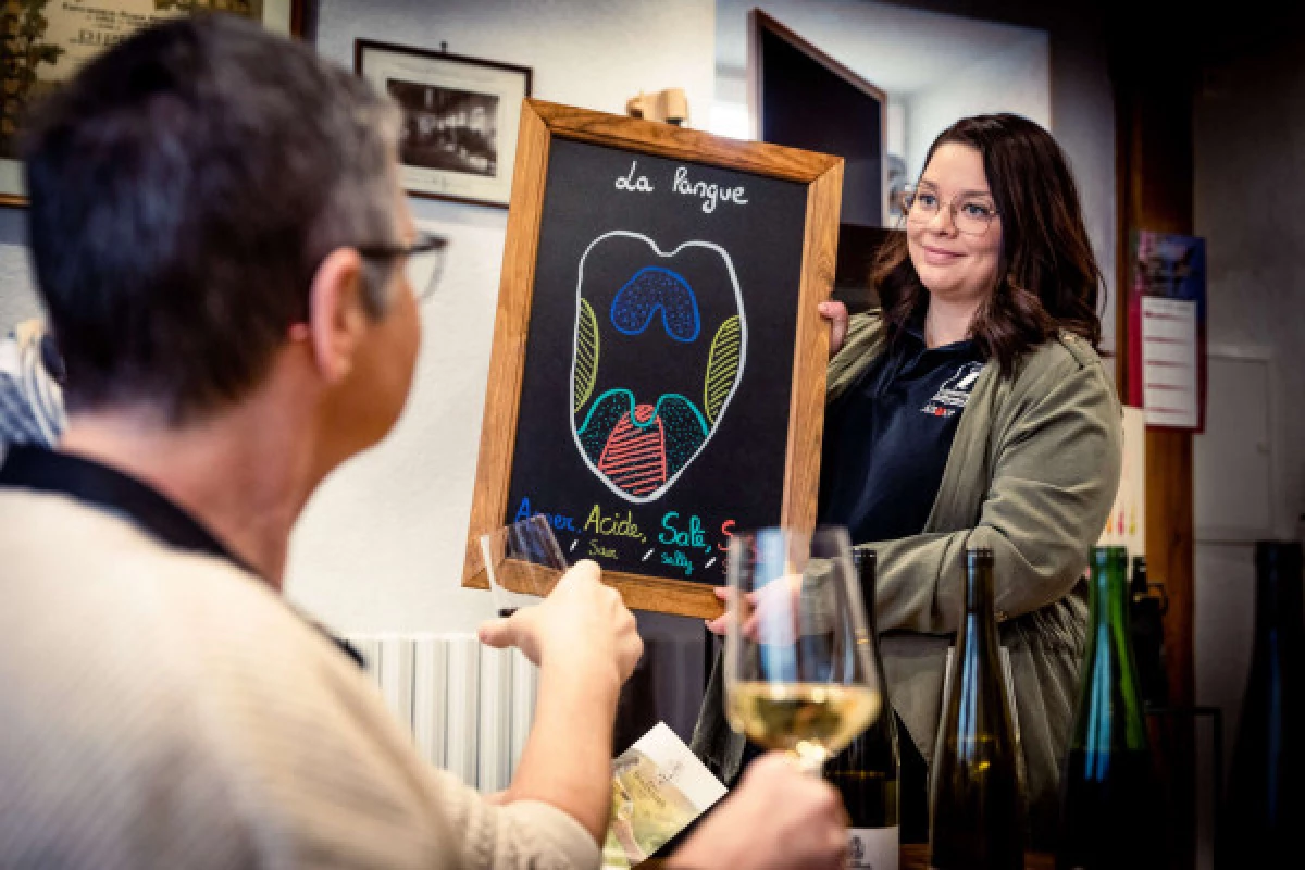 Parenthèse Vigneronne 'jouez et testez vos 5 sens' - dégustation - Bonjour Fun