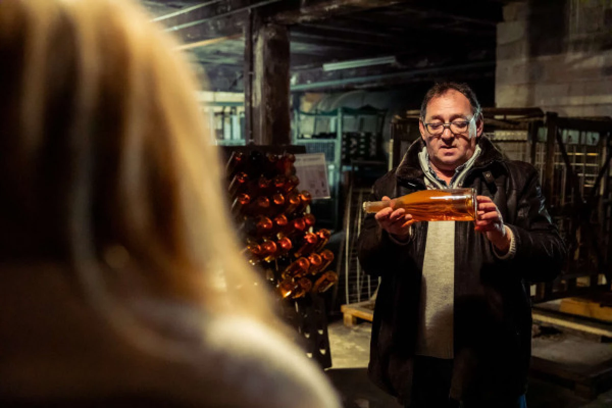 Parenthèse Vigneronne 'l'art de la vinification' - dégustation - Bonjour Fun