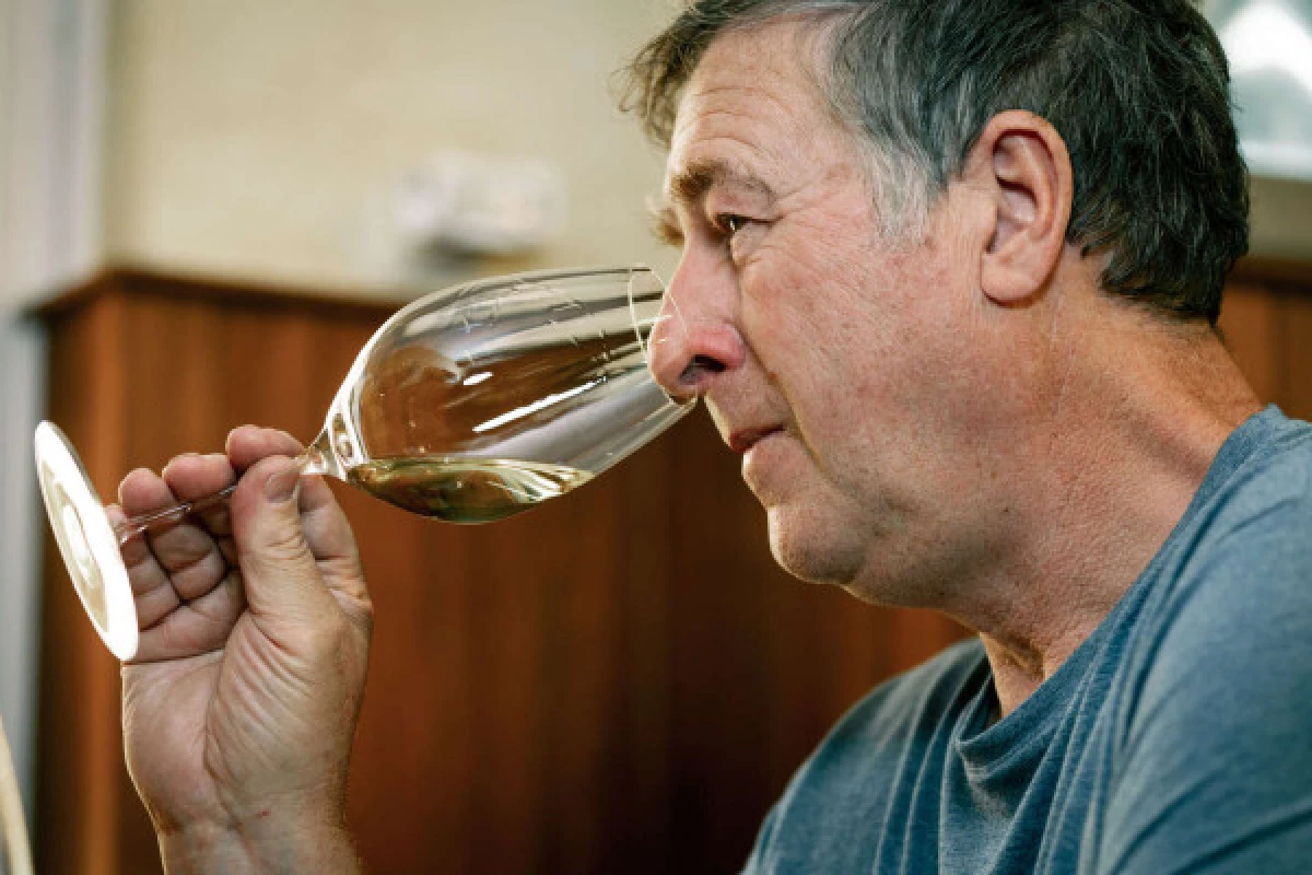 Parenthèse Vigneronne 'Qi Gong dans les vignes' - dégustation - Bonjour Fun