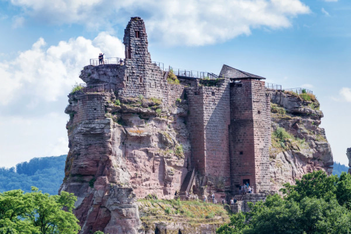 Pass'Alsace : visitez l'Alsace du nord au sud - Bonjour Fun