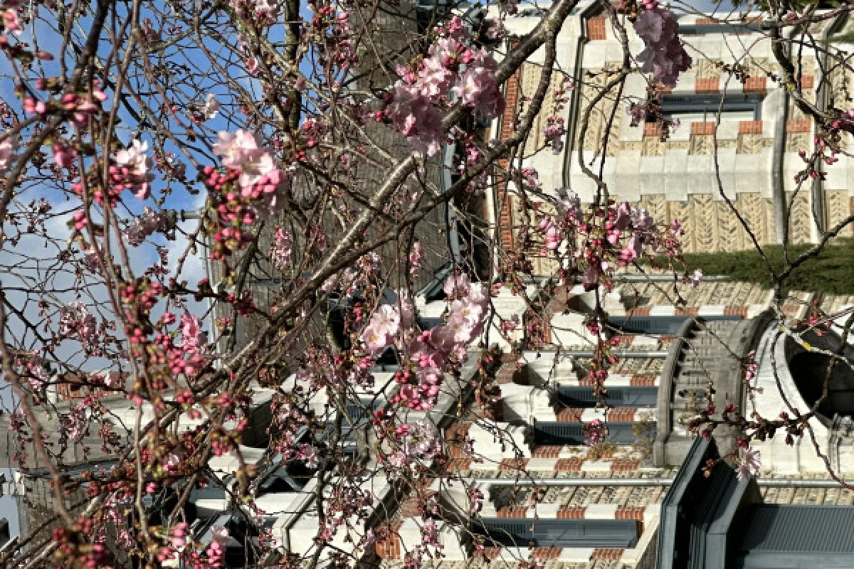 Pau, Ville Anglaise ? et  le Jardin Kofu - Bonjour Fun