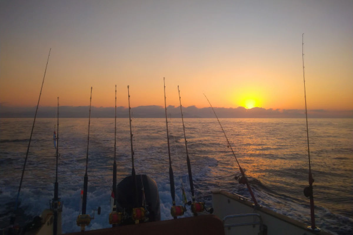 Pêche de nuit calamars et poissons nocturnes - Fréjus - Bonjour Fun