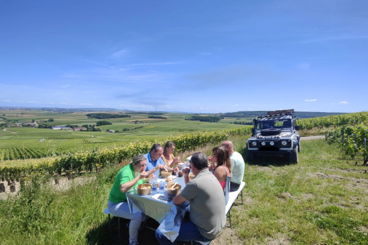 Pique-nique & Dégustation dans le vignoble de champagne - Bonjour Fun