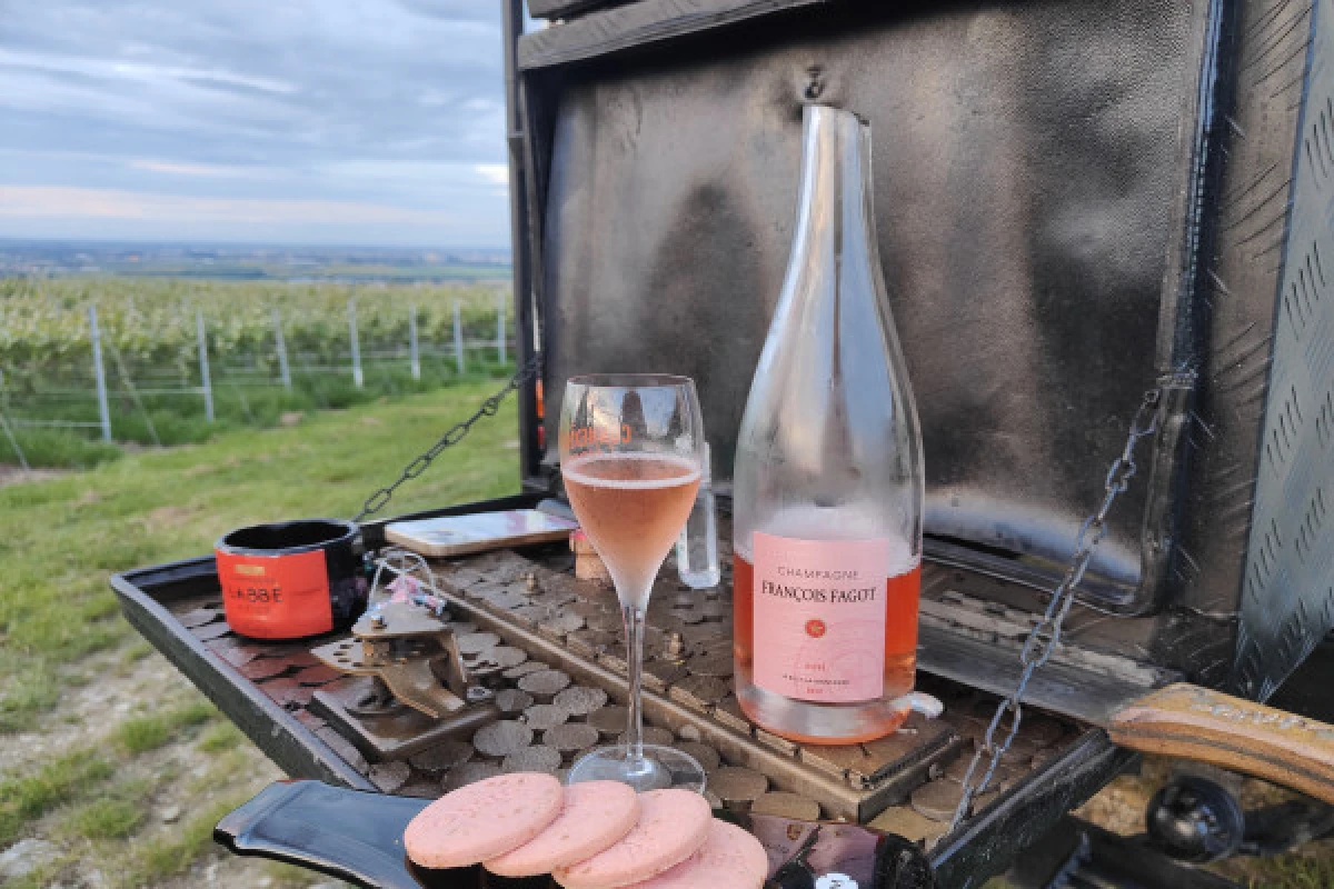 Pique-nique & Dégustation dans le vignoble de champagne - Bonjour Fun