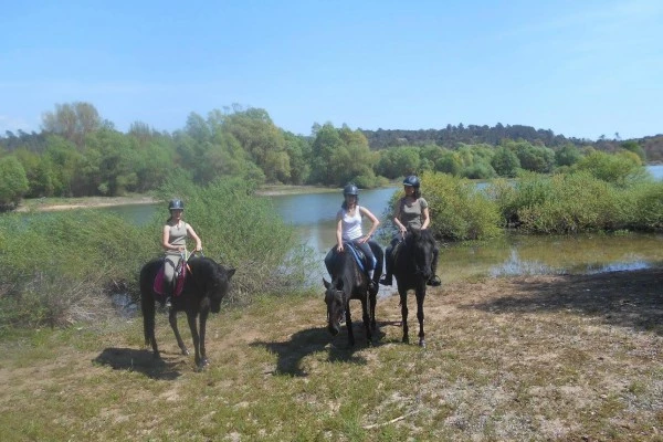 Tour de poney - Haras des Villards-CALLIAN - Bonjour Fun