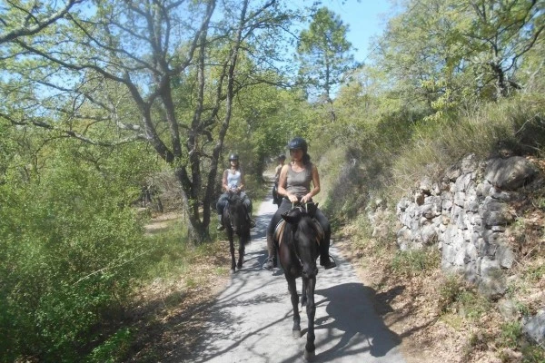 Tour de poney - Haras des Villards-CALLIAN - Bonjour Fun