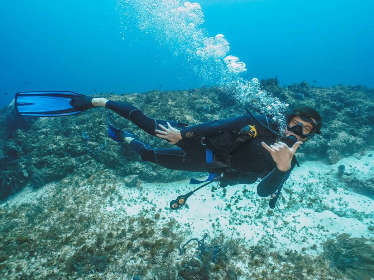 Premier Souffle : Baptême de Plongée à la Réserve Cousteau - Bonjour Fun