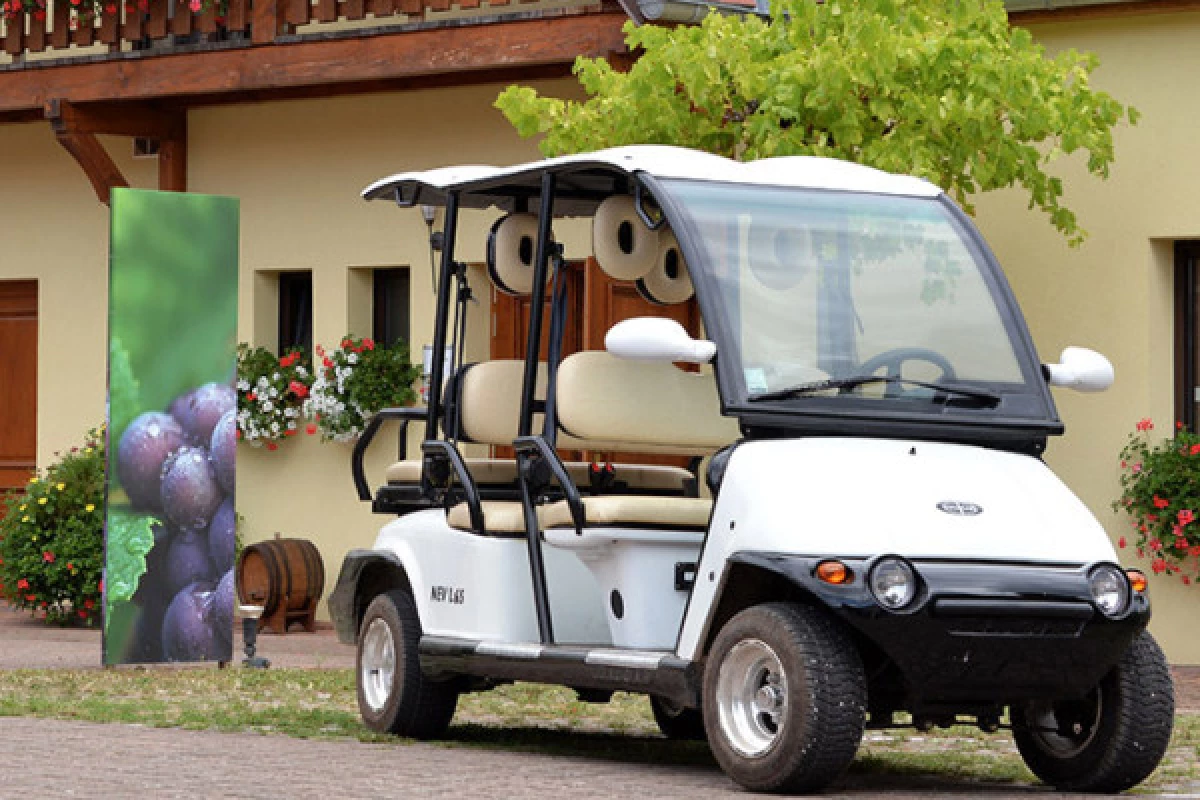 Promenade en véhicule électrique dans le vignoble - Bonjour Fun