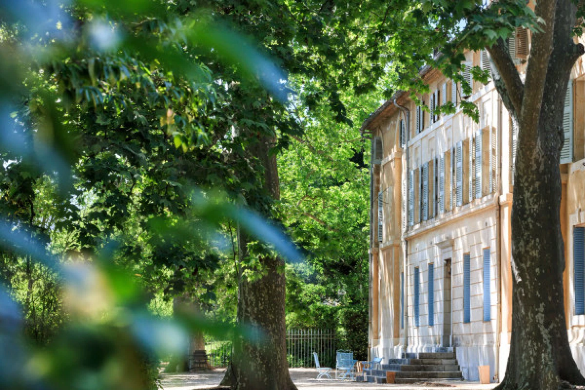 Provence Wine Tour - Circuit privatisé - Bonjour Fun