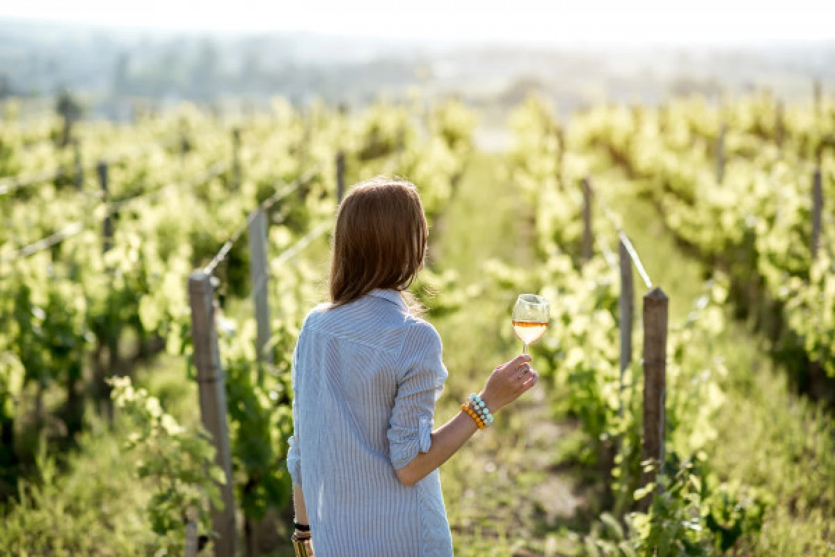 Provence Wine Tour - Circuit privatisé - Bonjour Fun