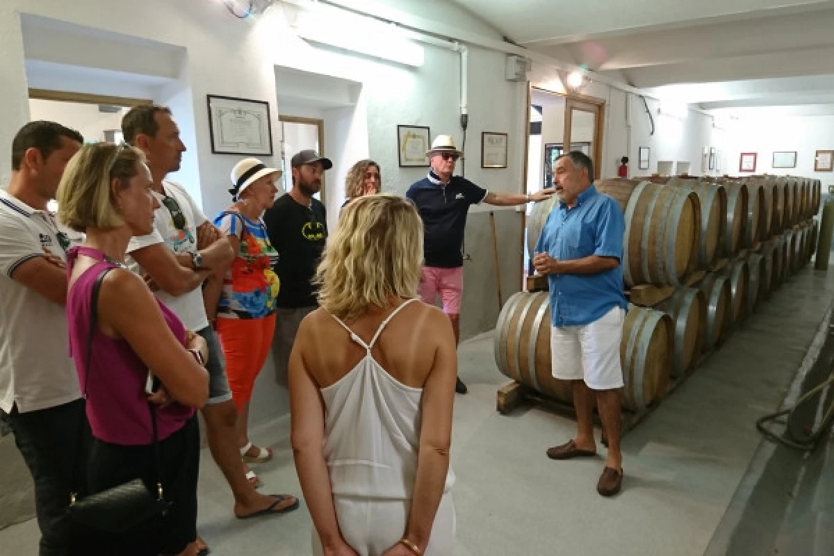 Provence Wine Tour - départ de Cannes - Bonjour Fun