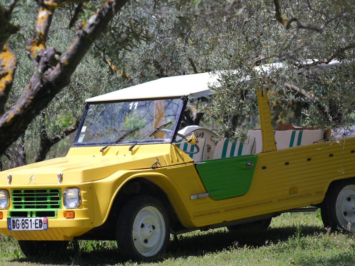 Location voiture de collection à Remoulins - Bonjour Fun