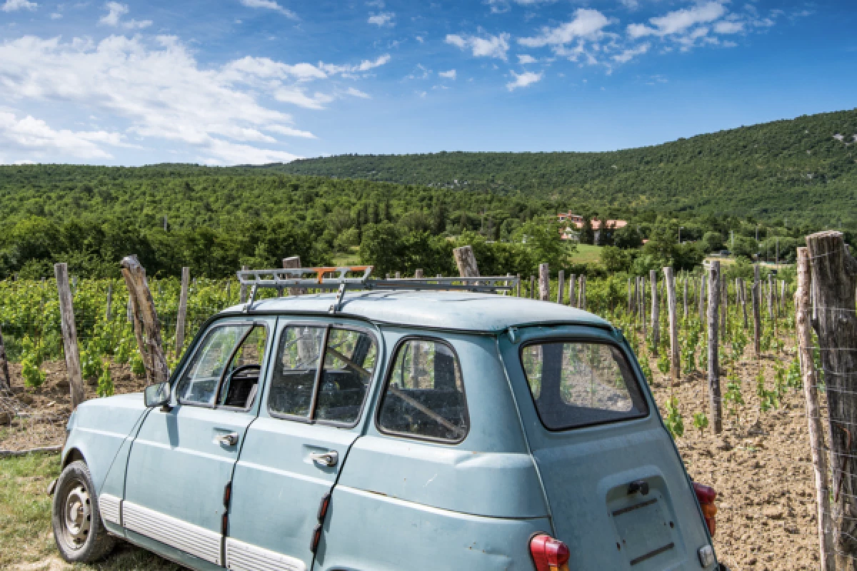 RALLYE ROUTE DES VINS D'ALSACE - Bonjour Fun