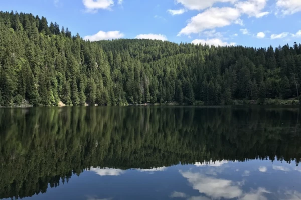 RALLYE DÉCOUVERTE DES LACS VOSGIENS - Bonjour Fun