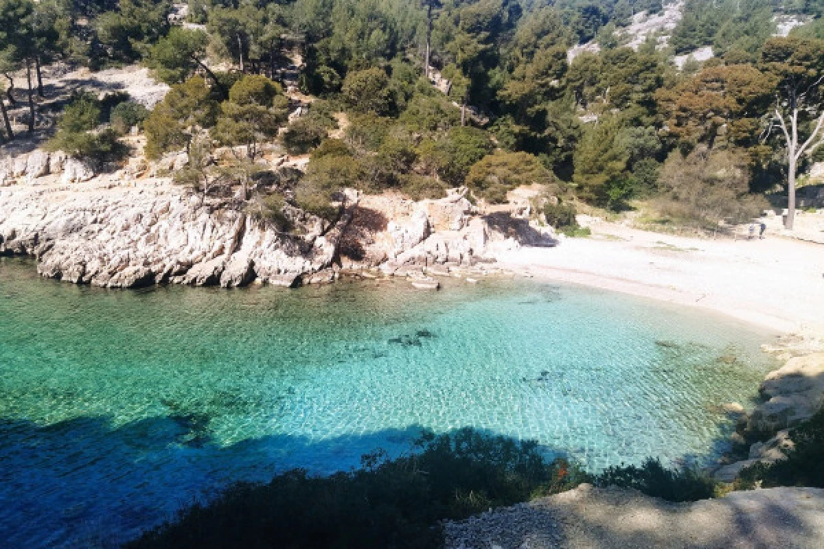 Randonnée 3 Calanques Cassis - demi-journée - Bonjour Fun