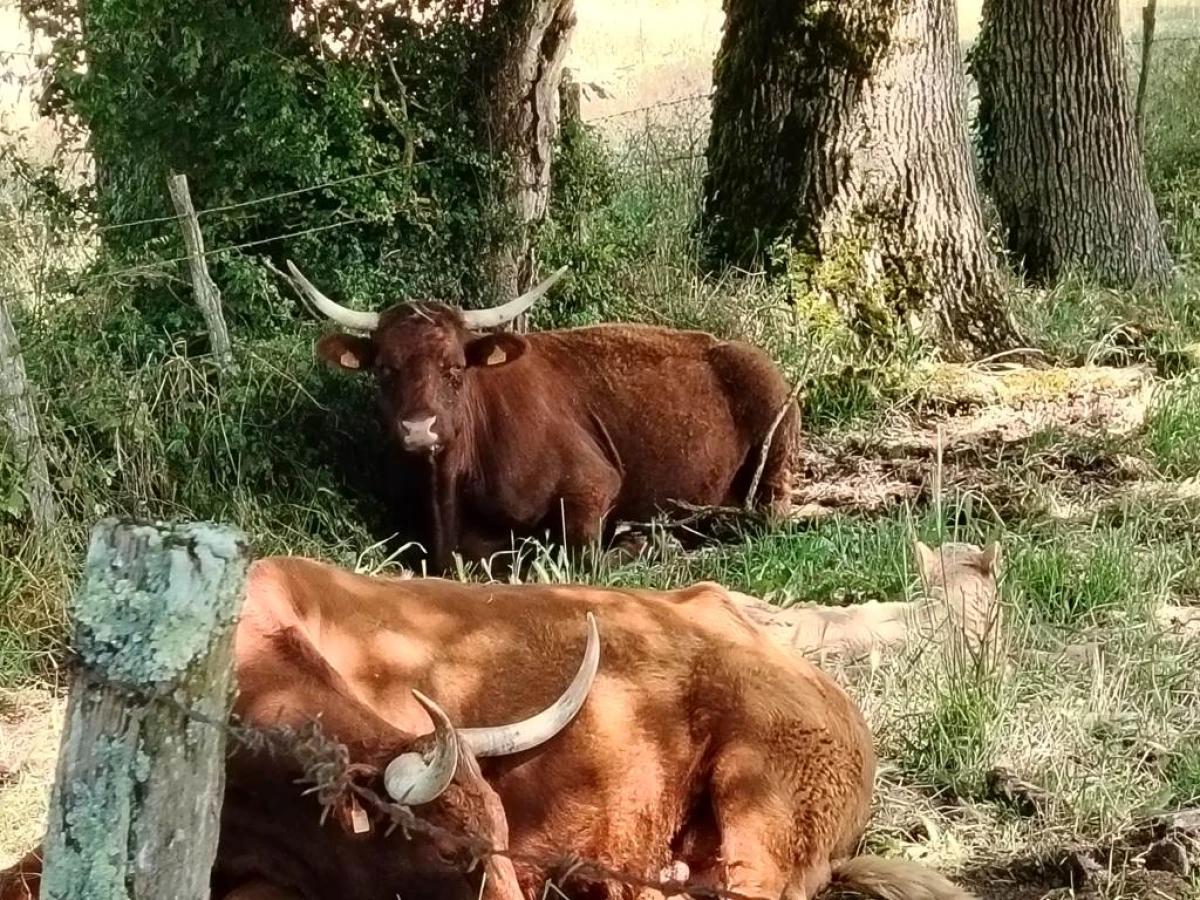 Randonnée autour de Villeneuve d'Aveyron - Bonjour Fun