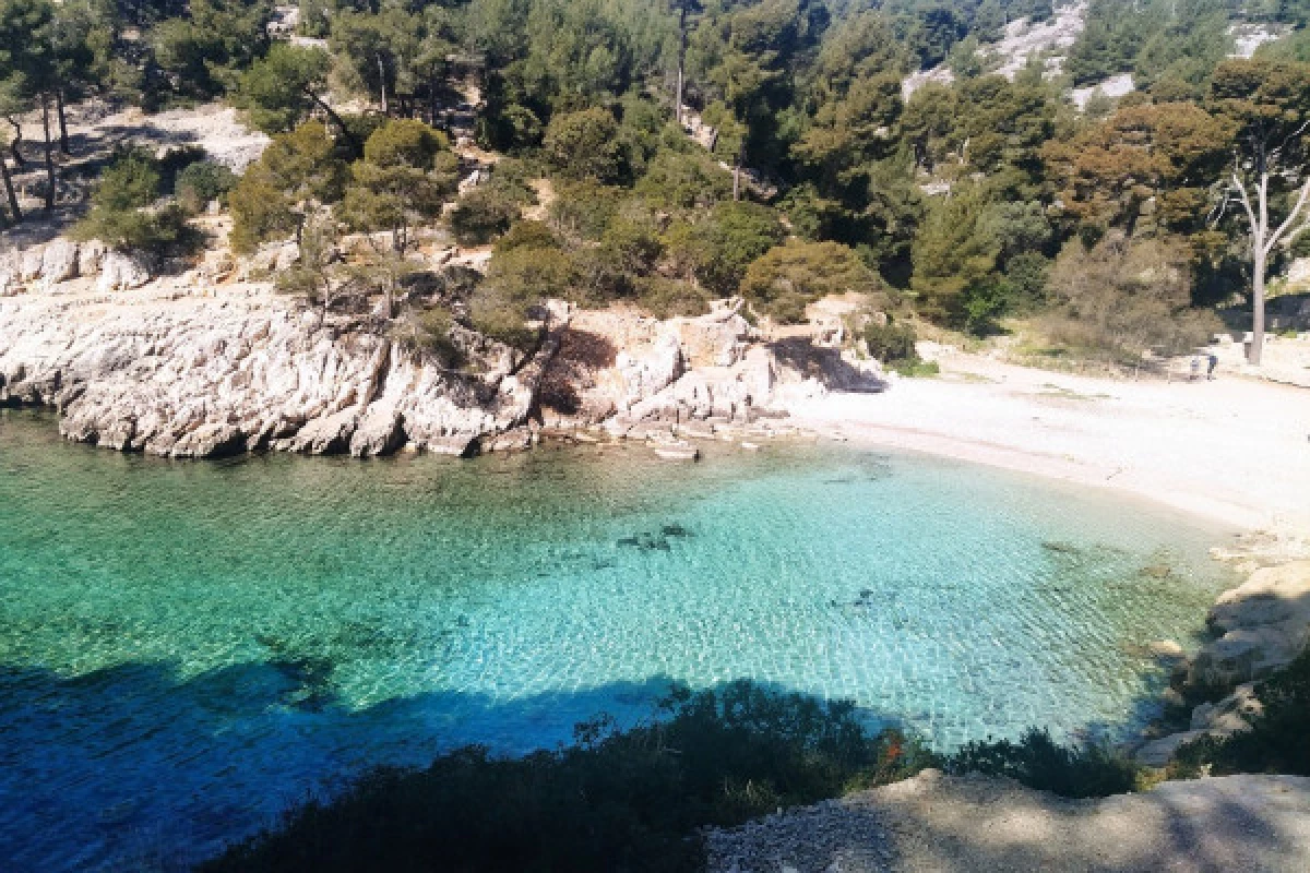 Randonnée Calanques Cassis - demi-journée - Bonjour Fun