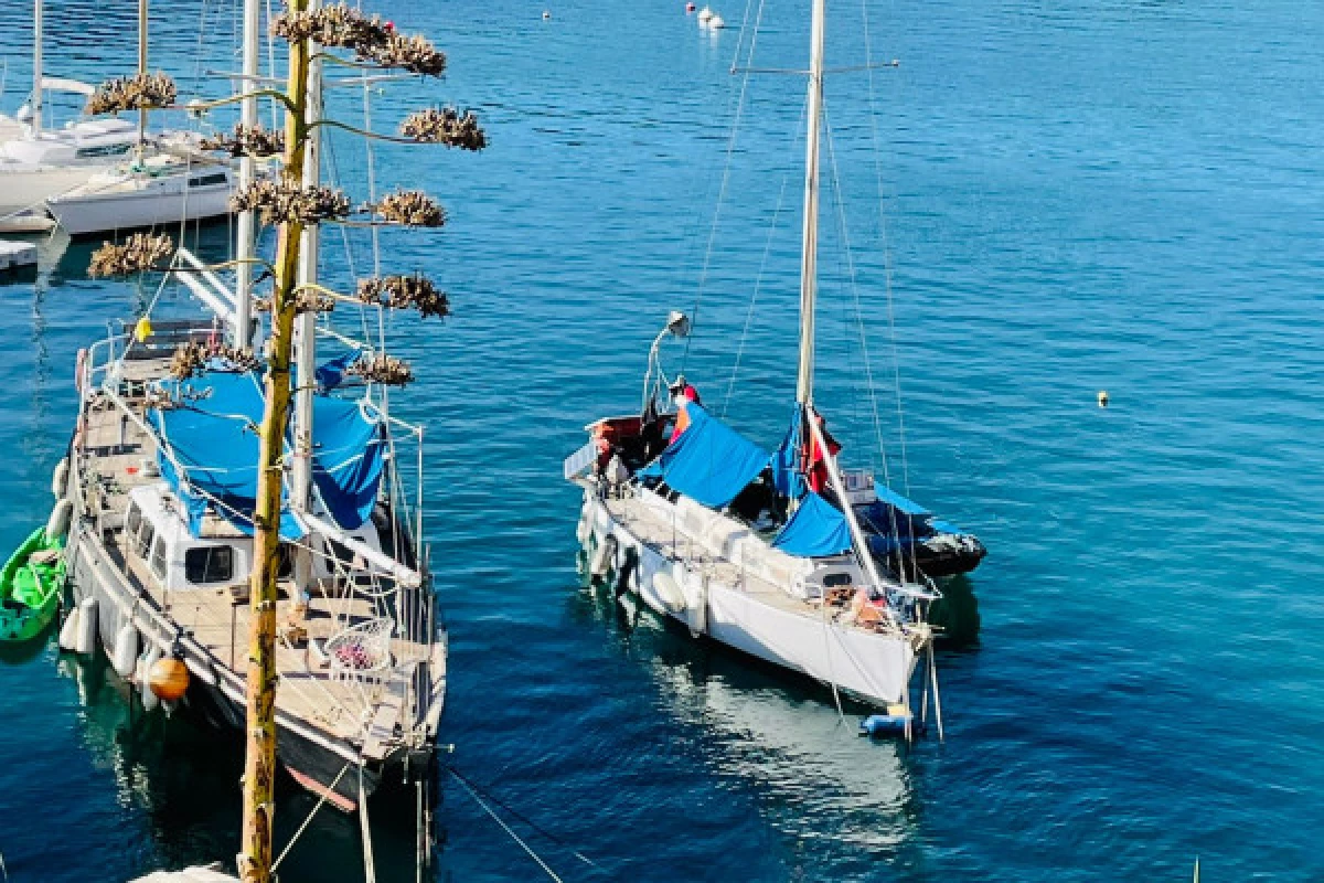 Randonnée Calanques Cassis - demi-journée - Bonjour Fun