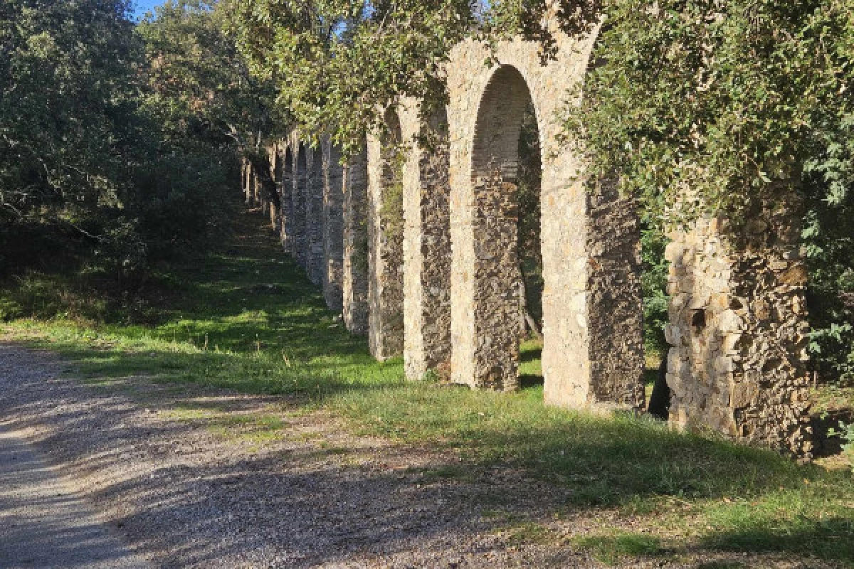 Randonnée en Moto électrique à Roquebrune/Argens - Bonjour Fun