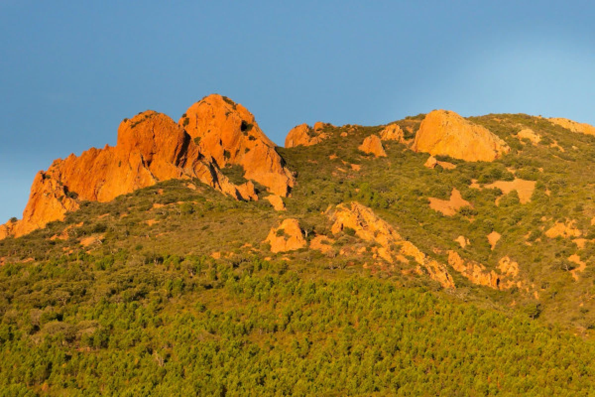 Randonnée - Esterel - sur les traces de St Honorat - Bonjour Fun