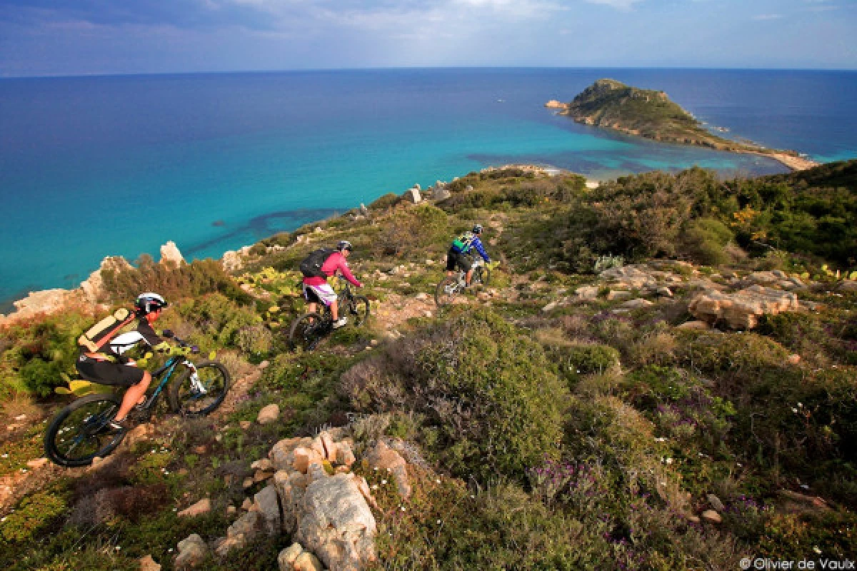 Randonnée guidée en VTT électrique - "EBIKE & WINE" presqu'ile de Saint-Tropez - Bonjour Fun