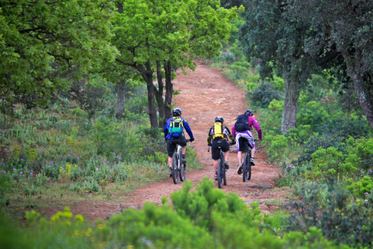 Randonnée guidée en VTT électrique - "EBIKE & WINE" presqu'ile de Saint-Tropez - Bonjour Fun