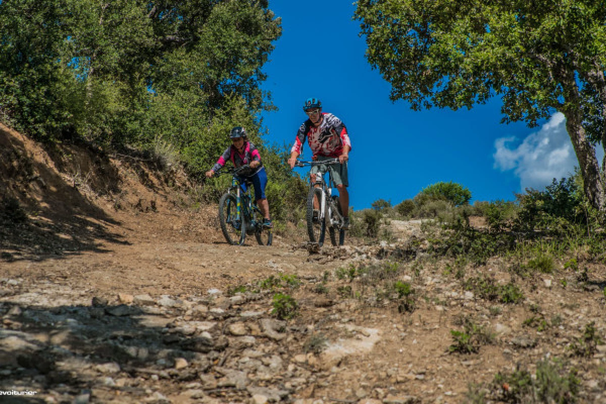 Randonnée guidée en VTT électrique - "EBIKE & WINE" presqu'ile de Saint-Tropez - Bonjour Fun