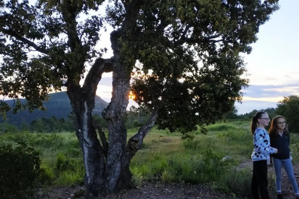 Randonnée Lever de soleil dans l'Estérel - Bonjour Fun