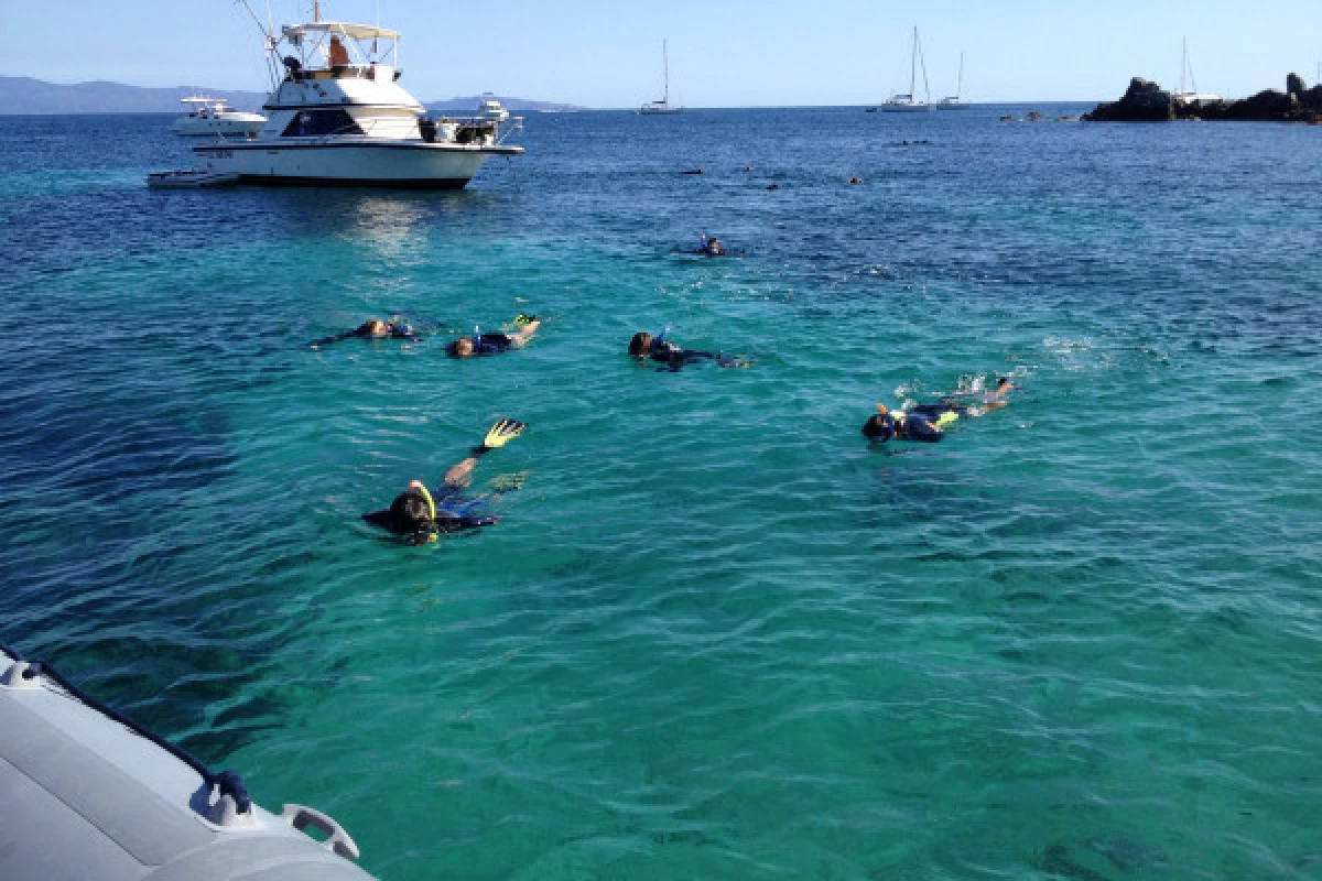 Randonnée palmée, aux Iles Sanguinaires en saison - Bonjour Fun