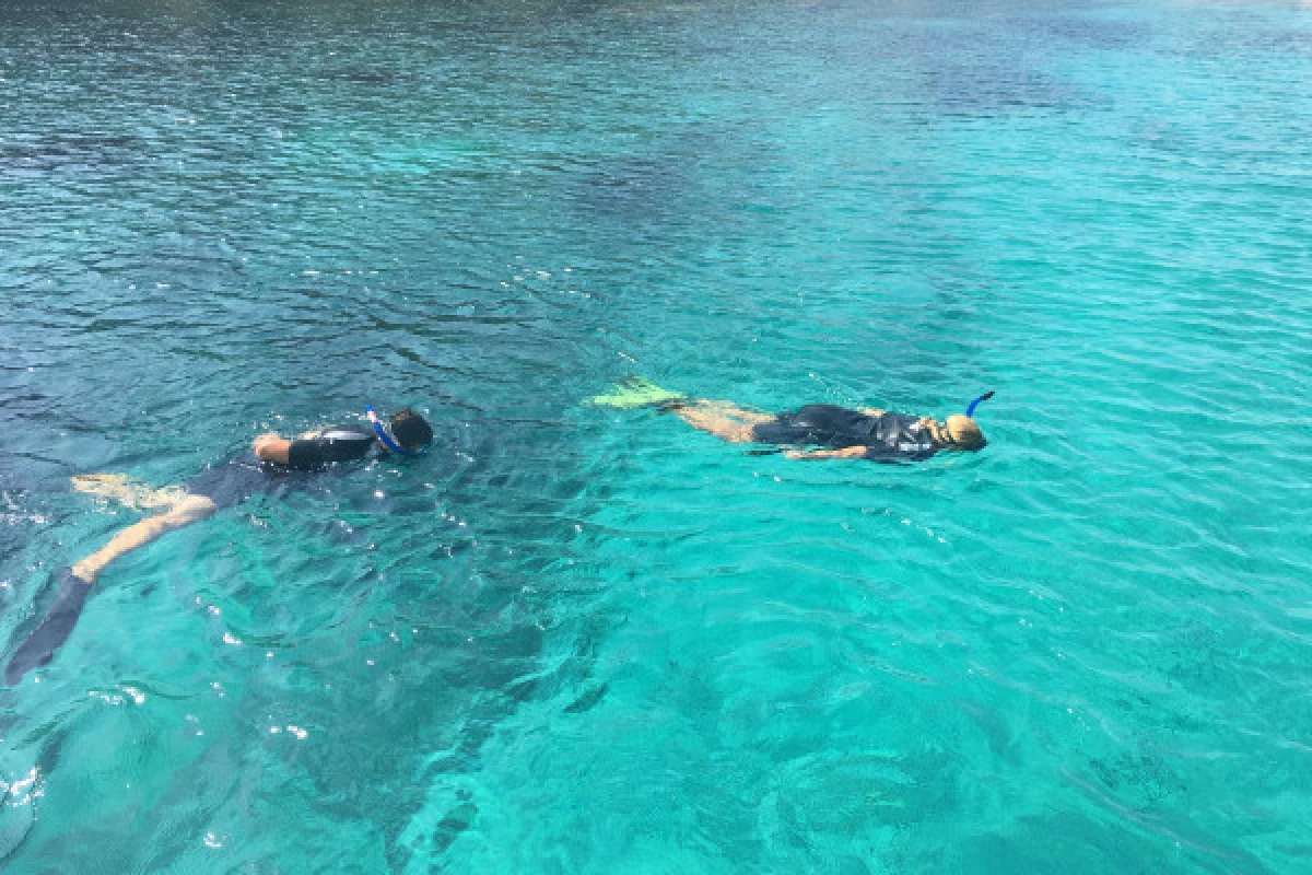 Randonnée palmée, aux Iles Sanguinaires en saison - Bonjour Fun