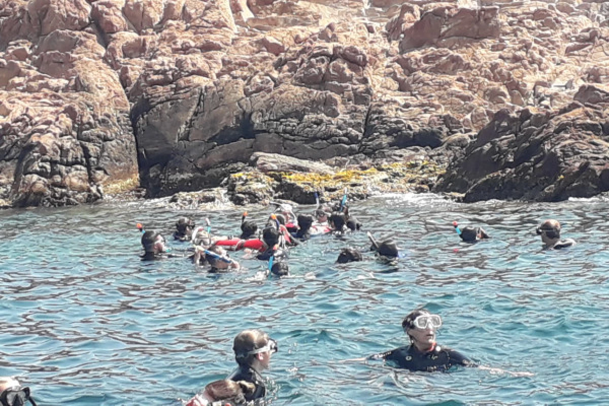 Randonnée palmée - Port Fréjus - Bonjour Fun