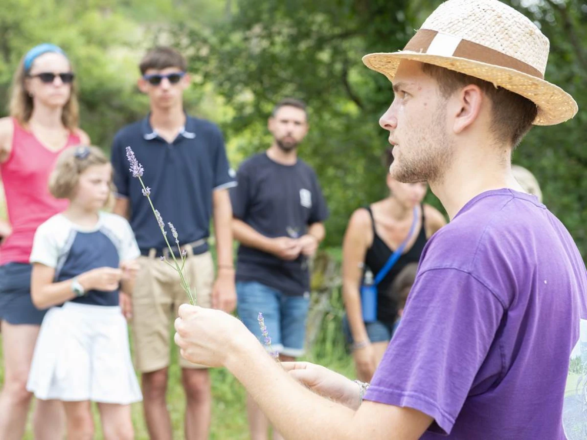 Randonnée entre forêt et champs de lavande - Bonjour Fun