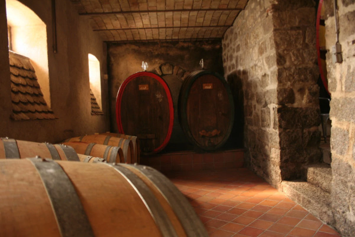 Rencontrez le vigneron dans son élément! - Bonjour Fun