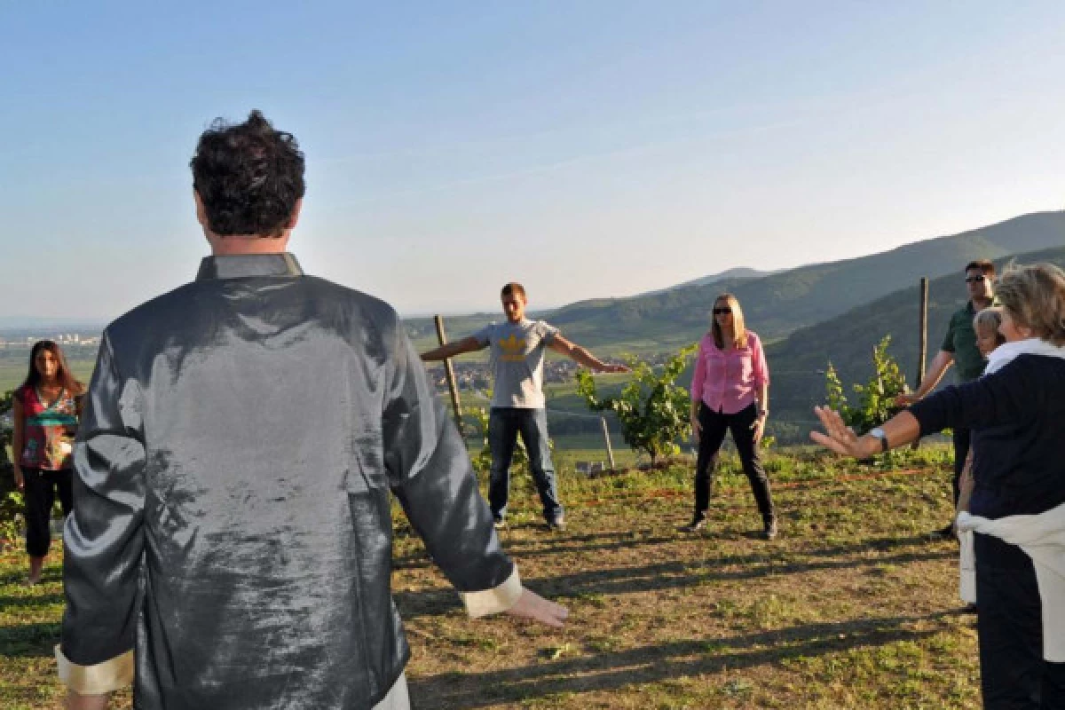 RIQUEWIHR #8 - Atelier - Dégustation géo-sensorielle : les vins de terroirs autrement ! - Bonjour Fun