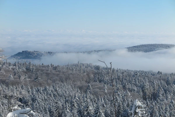 Rocher du Neuntelstein en raquettes à neige - Bonjour Fun