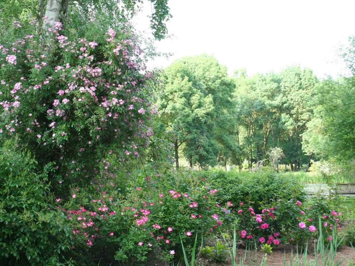 Visitie de la roseraie - les chemins de la rose - Bonjour Fun